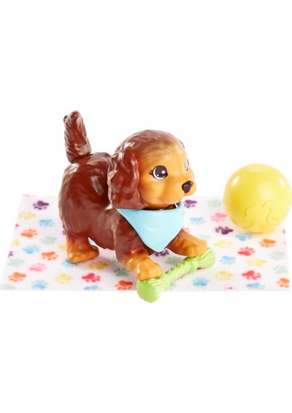 Sevimli Hayvanlar ve Aksesuarları HKD81 - Köpek fırsatları