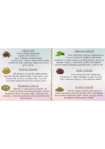 5 KUTU%100 Bitkisel Zayıflam Yardımcı Detoks ve Form Sultan Bitki Çayı 10 Farklı Bileşen