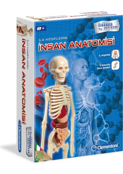 Bilim ve Oyun - Insan Anatomisi Oyuncak