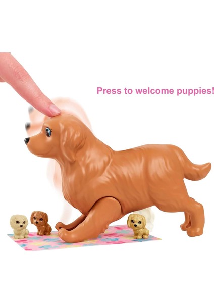 ve Yeni Doğan Köpekler Oyun Seti, 3 Yaş ve Üzeri, HCK75