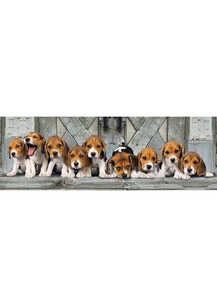 - 1000 Parça High Quality Collection Panorama Yetişkin Puzzle - Beagles