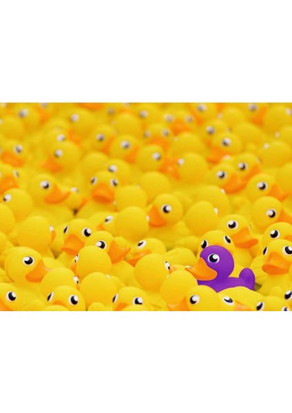 1000P Puz Ördekler Challenge Puzzle Yapboz