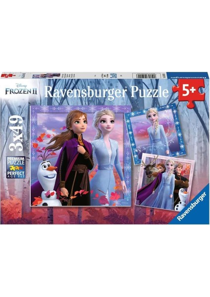 Yapboz, Wd Frozen2, 3X49 Parça