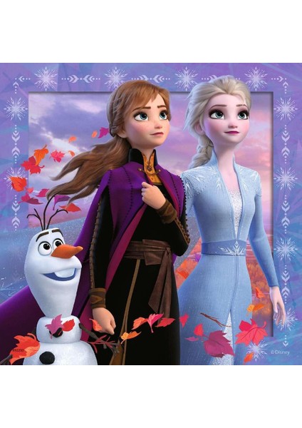 Yapboz, Wd Frozen2, 3X49 Parça