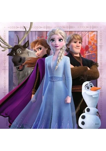 Yapboz, Wd Frozen2, 3X49 Parça