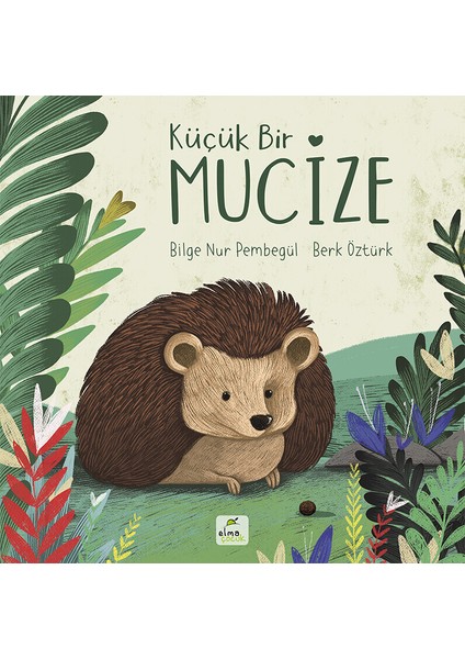 Küçük Bir Mucize - Bilge Nur Pembegül