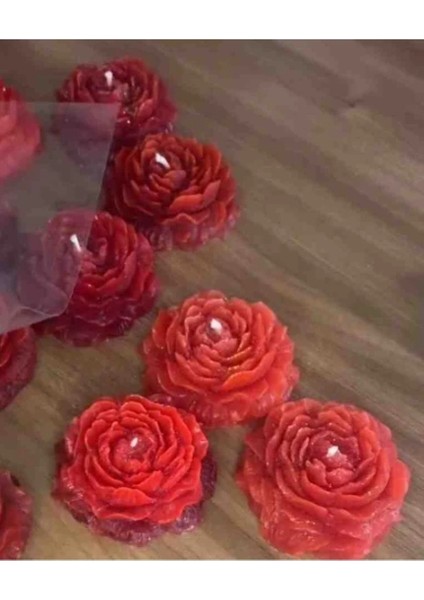 Özel Günler Için Şakayık Mum