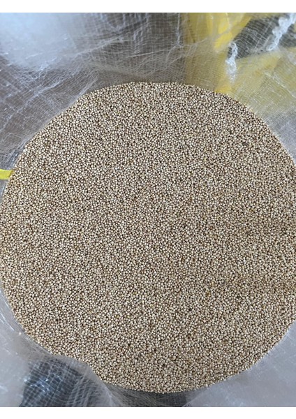 M.k. Yayla Tohumculuk Kuş Yemi - Akdarı 10 kg