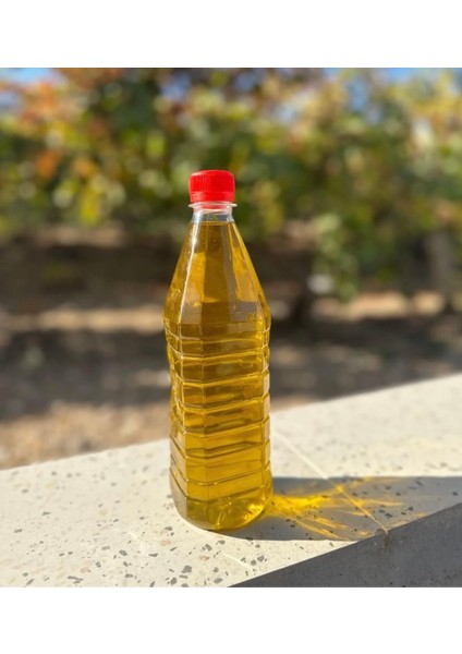 Zeytin Yağı