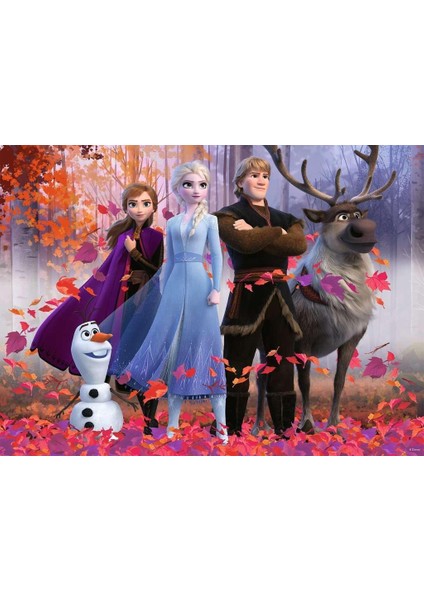 128679 Puzzle, Wd Frozen 2, 100 Parça