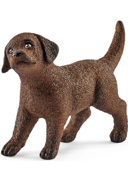 Farm World Yavru Labrador Retriever