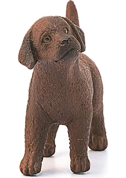 Farm World Yavru Labrador Retriever fiyatları