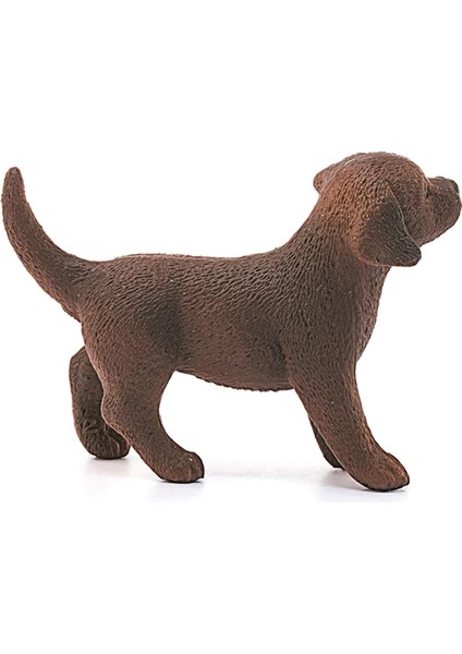 Farm World Yavru Labrador Retriever fırsatları