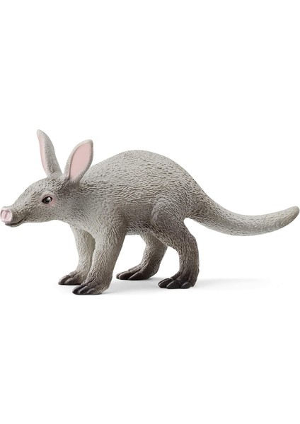 Aardvark Oyuncak