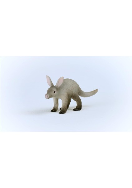 Aardvark Oyuncak