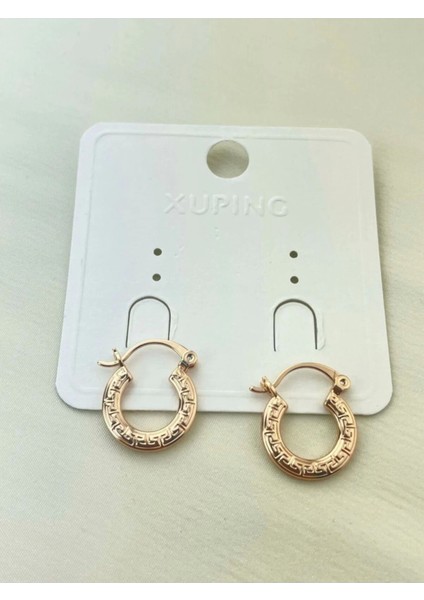 Özel Seri Xuping Küpe