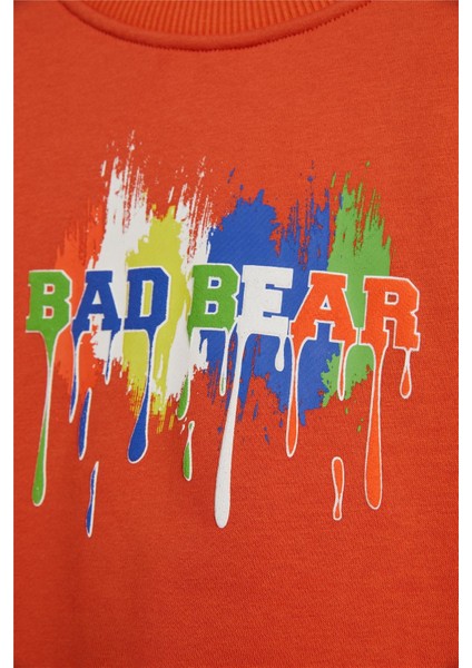 Bad Bear Hued Sweatshirt 24.06.12.005-C38