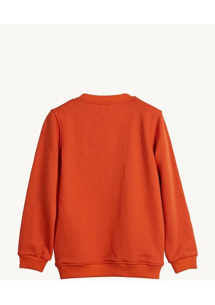 Hued Sweatshirt 24.06.12.005-C38