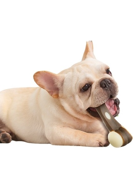 Evcil Hayvan Oyuncakları, Isırmaya Dayanıklı Diş Temizleme ve Azı Dişleri Çıkaran Köpek Oyuncakları (Yurt Dışından) modelleri