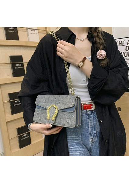 Üst Düzey Moda Zincir Küçük Kare Çanta Bayanlar Omuz Crossbody Çanta (Yurt Dışından)
