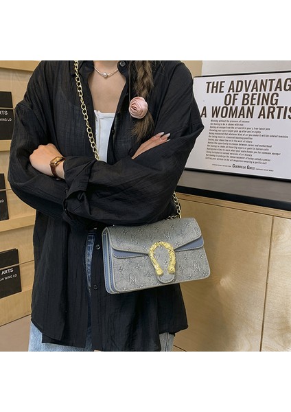 Üst Düzey Moda Zincir Küçük Kare Çanta Bayanlar Omuz Crossbody Çanta (Yurt Dışından)