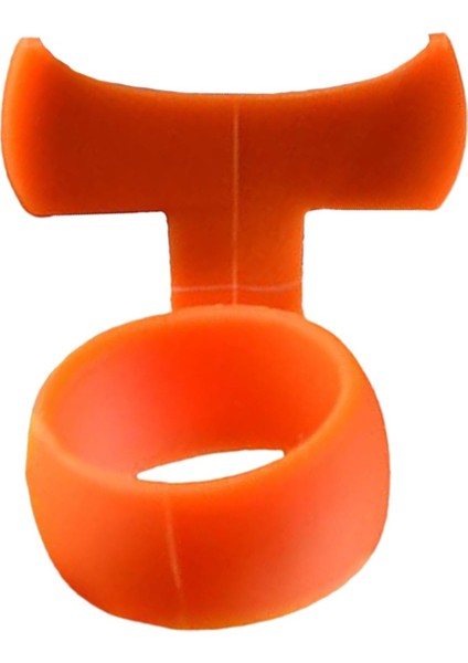 Profesyoneller Başlayanlar Için (Yurt Dışından)