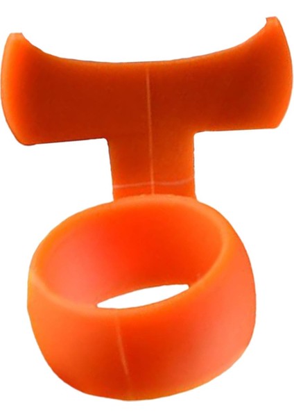 Profesyoneller Başlayanlar Için (Yurt Dışından) modelleri