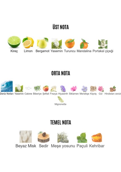 Aromatiq