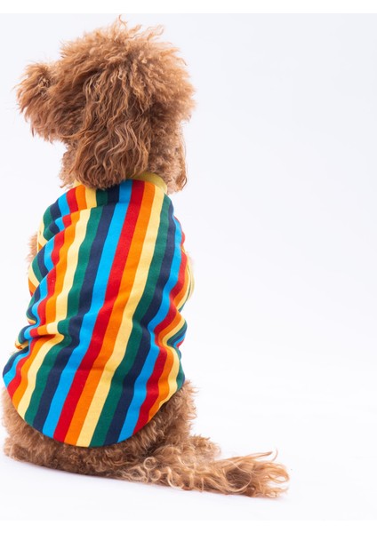 Renkli Çizgili Kedi Köpek Tişörtü - Kedi Köpek Kıyafeti