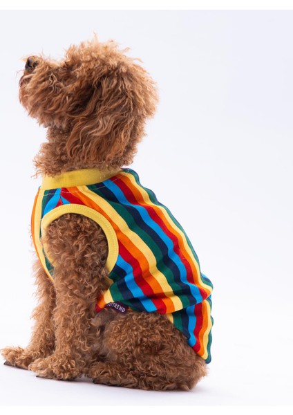 Renkli Çizgili Kedi Köpek Tişörtü - Kedi Köpek Kıyafeti fiyatları