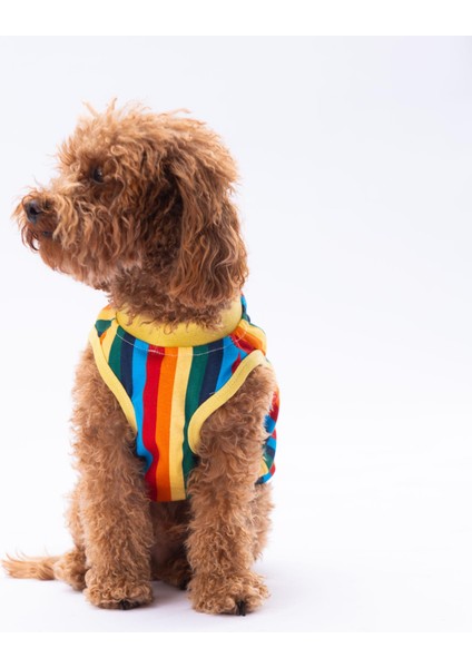 Renkli Çizgili Kedi Köpek Tişörtü - Kedi Köpek Kıyafeti modelleri