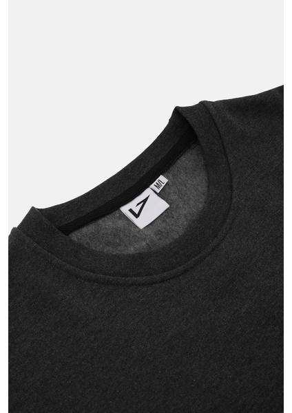 Bisiklet Yaka Regular Fit Next Unisex Sweatshirt Antrasit modelleri