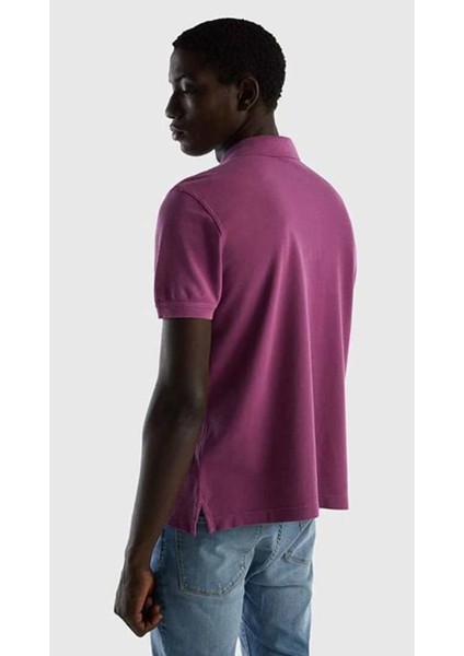 Erkek Regular Fit Polo T-Shirt fiyatları