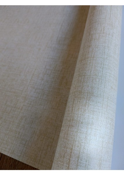 Krem Hafif Simli Kendinden Desenli Hava Alabilen Silinebilir Sade Duvar Kağıdı 5 M² fırsatları