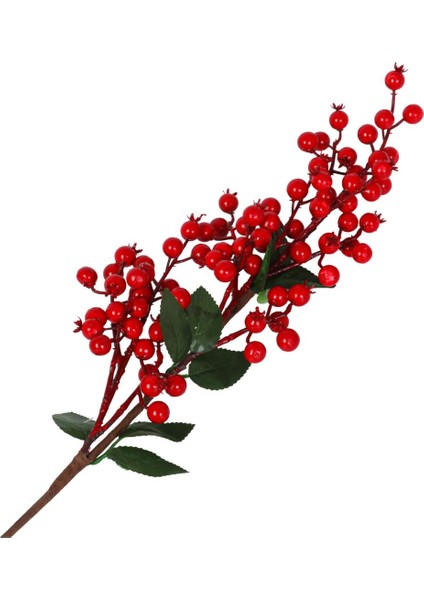 Kokina Dal 72CM fiyatları