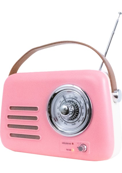 FB-R303-PK Retro Radyo ve Bluetooth Hoparlör