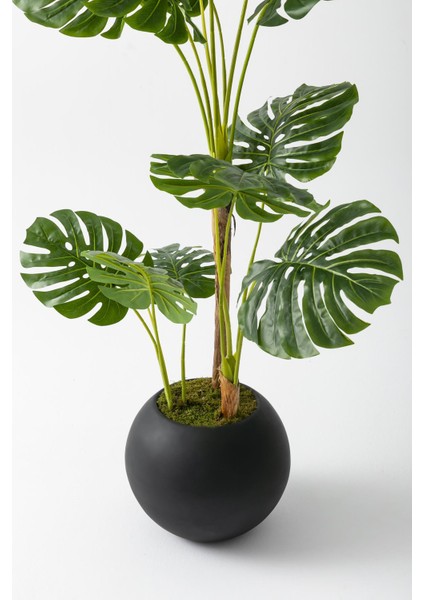 Yapay Deve Tabanı Ağacı 170 cm Fiber Saksılı modelleri