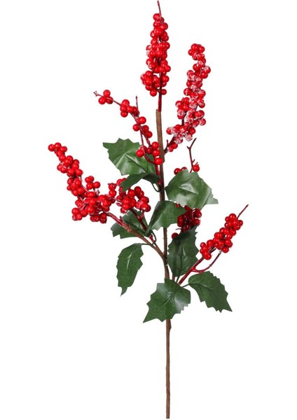 Kokina Dal 75CM