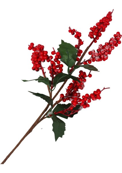 Kokina Dal 75CM fiyatları