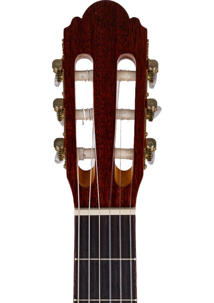 Vega Natural Klasik Gitar modelleri