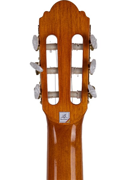 Vega Natural Klasik Gitar fırsatları