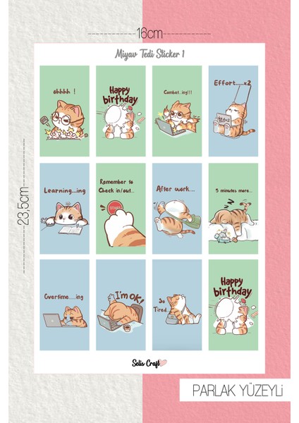 Miyav Tedi Temalı Parlak Sticker 01 Ajanda Planlayıcı Bullet Journal Için Uygundur
