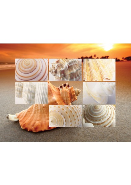 Tepsili Diz Minderi - Shells