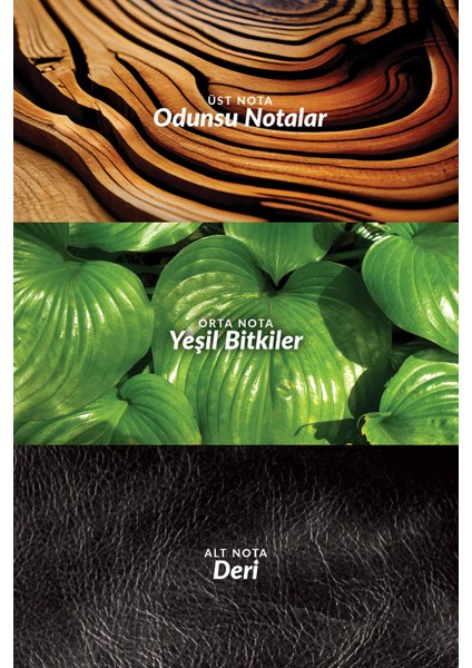 Black Suede Erkek Parfüm, Rollon, Saç ve Vücut Şampuanı Hediye Paketi modelleri