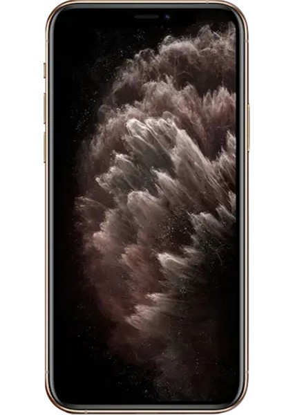 iPhone 11 Pro Max 64 GB Gold Yenilenmiş B Kalite (12 Ay Garantili) fiyatları