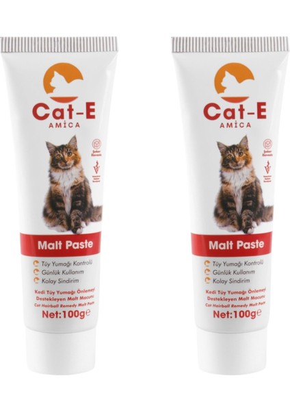 Malt Paste 2li Set