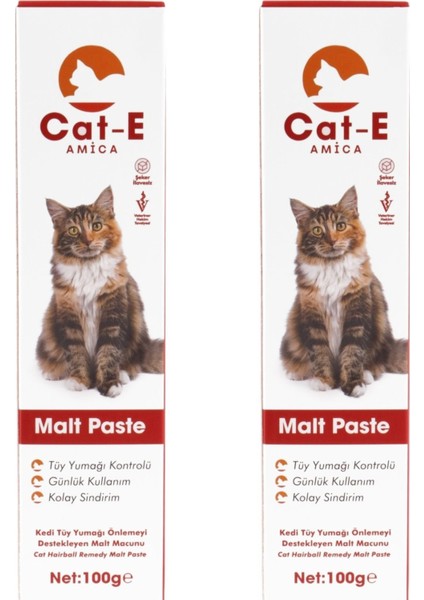 Malt Paste 2li Set