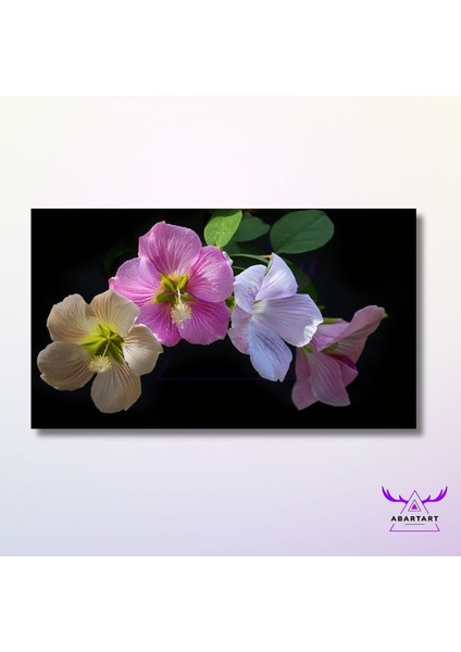 Panoramik Yatay Kanvas Duvar Tablosu Soft Hibiscus Çiçekler
