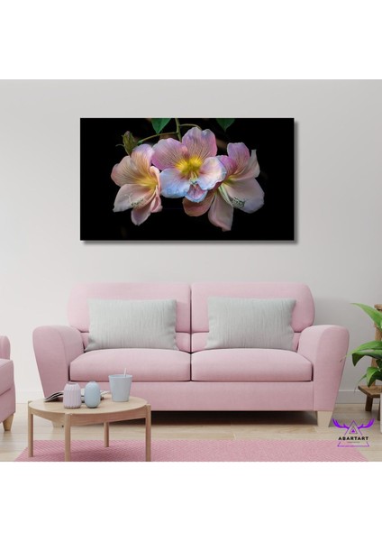 Panoramik Yatay Kanvas Duvar Tablosu Soft Pembe Çiçekler