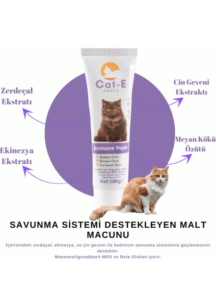 İmmune Paste & Malt Paste & Multi Paste